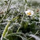 Hrvatska na udaru, od 30°C do nule i snijega: ‘Ovo neće trajati samo par dana’