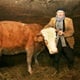 Joža, vlasnik krave: 'Celi dan smo vadili 'Žutu' iz gnjoja i na kraju zvali 112'