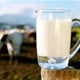 KATASTROFA: Proizvedemo samo 40 posto potrebnih količina mlijeka! Najgori u EU