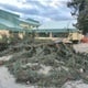 Olujni vjetar srušio stabla kod OŠ Konjščina i donjostubičkog vrtića, manja šteta i na sportskoj dvorani u D. Stubici