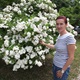 Četrdeset godina star grm bijele ruže krasi vrt ponosne vlasnice Ane