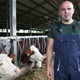  'U modernoj staji naše krave mogu se slobodno kretati i same biraju kada će jesti, a kada leći'